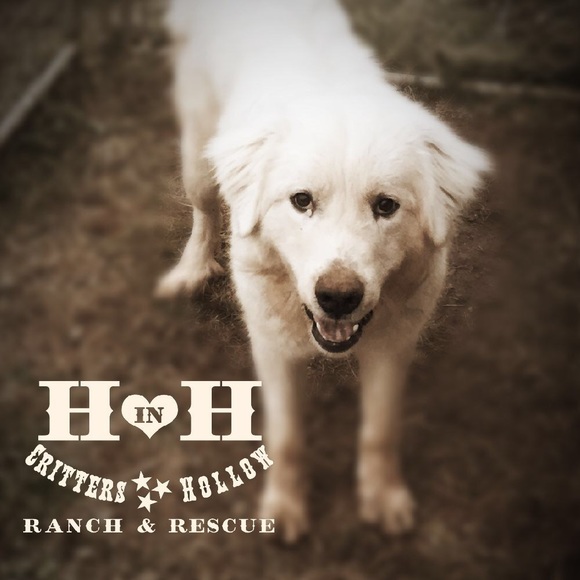 Drexlite Women’s Slide On Shoe BE COMFORTABLE!👍🏻 - Picture 6 of 6